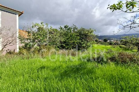 Helårsgrund i Calheta, Madeira, Calheta - € 1.100.000 | Ref: 101373 - foto 30