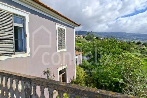 Helårsgrund i Calheta, Madeira, Calheta - € 1.100.000 | Ref: 101373 - foto 31