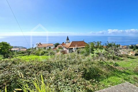 Helårsgrund i Calheta, Madeira, Calheta - € 1.100.000 | Ref: 101373 - foto 32