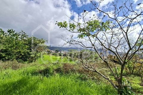 Helårsgrund i Calheta, Madeira, Calheta - € 1.100.000 | Ref: 101373 - foto 33