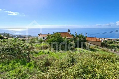 Helårsgrund i Calheta, Madeira, Calheta - € 1.100.000 | Ref: 101373 - foto 35