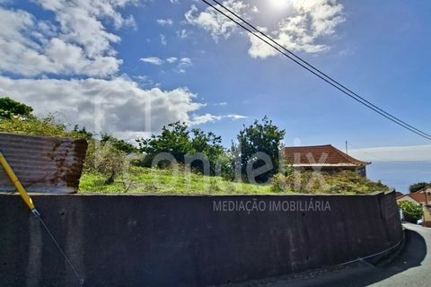 Helårsgrund i Calheta, Madeira, Calheta - € 1.100.000 | Ref: 101373 - foto 36