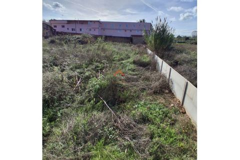 Helårsgrund i Anadia, Aveiro, Anadia - € 195.000 | Ref: 6655 - foto 2
