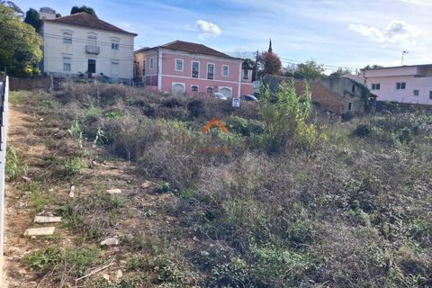 Helårsgrund i Anadia, Aveiro, Anadia - € 195.000 | Ref: 6655 - foto 3