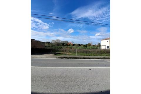 Helårsgrund i Anadia, Aveiro, Anadia - € 65.000 | Ref: 6656 - foto 1