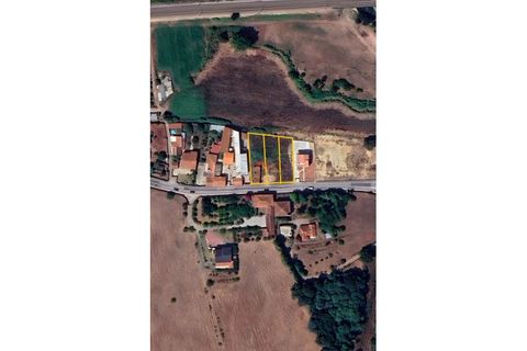 Helårsgrund i Anadia, Aveiro, Anadia - € 65.000 | Ref: 6656 - foto 4