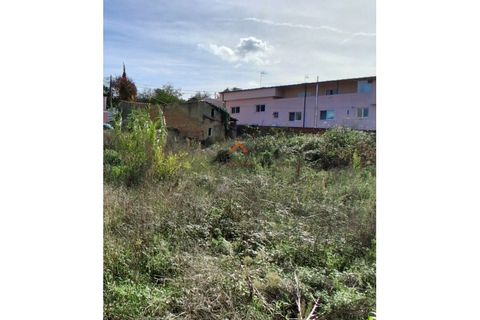 Villa i Anadia, Aveiro, Anadia - € 65.000 | Ref: 6653 - foto 2