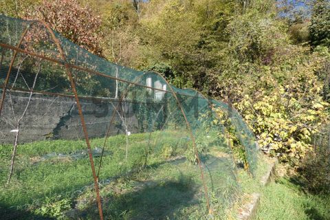 Villa i Schio, Vicenza, Schio - € 110.000 | Ref: DS5168 - foto 22