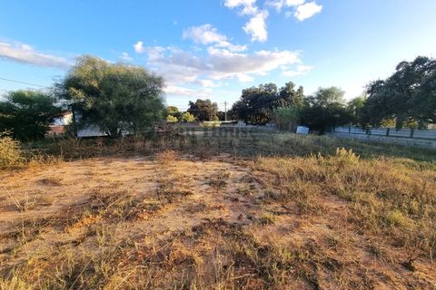 Helårsgrund i Albufeira, Faro, Albufeira - € 1.300.000 | Ref: TER2153 - foto 19