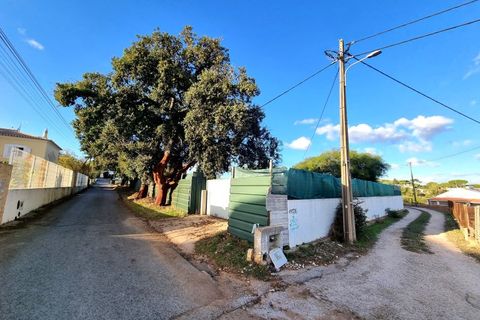 Helårsgrund i Albufeira, Faro, Albufeira - € 1.300.000 | Ref: TER2153 - foto 22