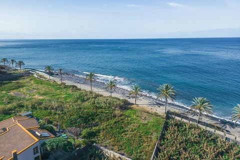 Helårsgrund i Ponta do Sol, Madeira, Ponta do Sol - € 610.000 | Ref: 123511036-1098 - foto 3