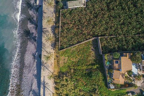 Helårsgrund i Ponta do Sol, Madeira, Ponta do Sol - € 610.000 | Ref: 123511036-1098 - foto 5