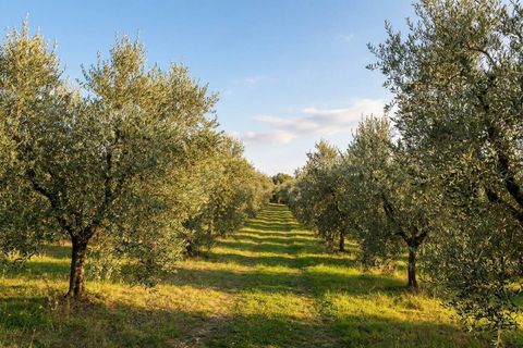 Farm hus i Allerona, Terni, Allerona - € 1.200.000 | Ref: a1190ta11361 - foto 6