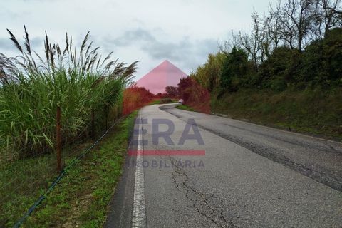 Terra a Carvalhal, Leiria, Carvalhal - € 70.000 | Ref: 130250285 - foto 2