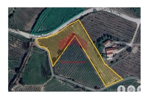 Terra a Carvalhal, Leiria, Carvalhal - € 70.000 | Ref: 130250285 - foto 11
