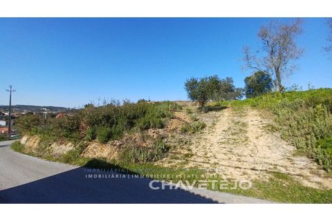 Helårsgrund i Tomar, Santarem, Tomar - € 63.000 | Ref: 617/25 - foto 2