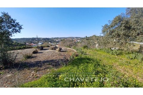 Helårsgrund i Tomar, Santarem, Tomar - € 63.000 | Ref: 617/25 - foto 4