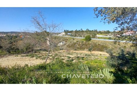 Helårsgrund i Tomar, Santarem, Tomar - € 63.000 | Ref: 617/25 - foto 5