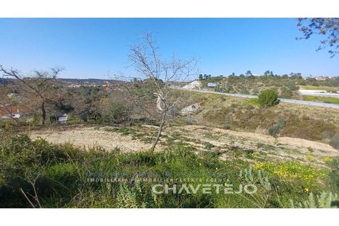 Helårsgrund i Tomar, Santarem, Tomar - € 63.000 | Ref: 617/25 - foto 6
