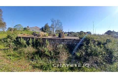 Helårsgrund i Tomar, Santarem, Tomar - € 63.000 | Ref: 617/25 - foto 7