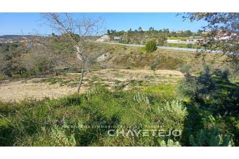 Helårsgrund i Tomar, Santarem, Tomar - € 63.000 | Ref: 617/25 - foto 8