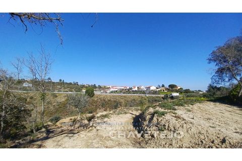 Helårsgrund i Tomar, Santarem, Tomar - € 63.000 | Ref: 617/25 - foto 9