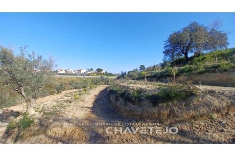 Helårsgrund i Tomar, Santarem, Tomar - € 63.000 | Ref: 617/25 - foto 10