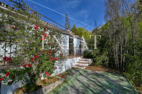 Masia a Sedella, Malaga, Sedella - € 398.000 | Ref: 0462 - foto 6