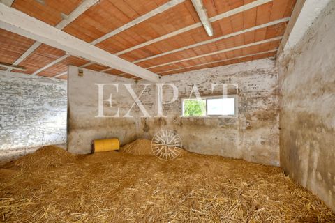 Masia a Sedella, Malaga, Sedella - € 398.000 | Ref: 0462 - foto 30