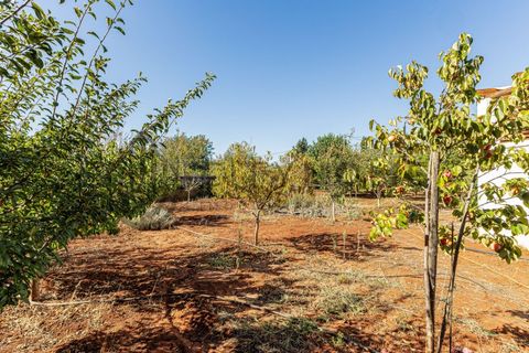 Villa i Paderne, Faro, Paderne - € 860.000 | Ref: City-23-74A - foto 33