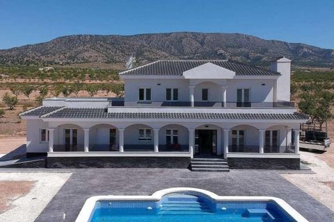 Villa i Pinoso, Alicante, Pinoso - € 547.000 | Ref: 748006 - foto 12