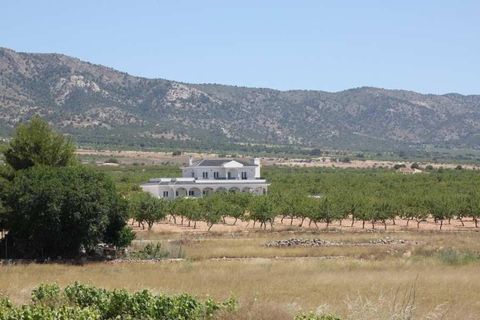 Villa i Pinoso, Alicante, Pinoso - € 547.000 | Ref: 748006 - foto 15
