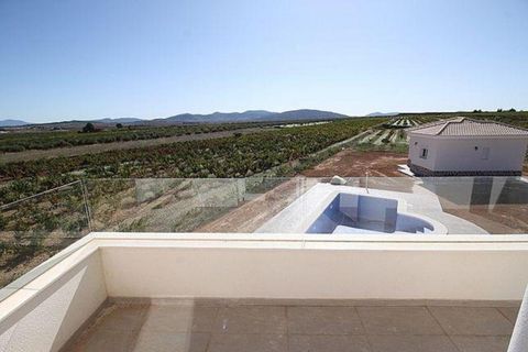 Villa i Pinoso, Alicante, Pinoso - € 375.000 | Ref: 748002 - foto 15