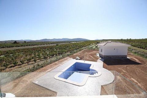 Villa i Pinoso, Alicante, Pinoso - € 375.000 | Ref: 748002 - foto 16