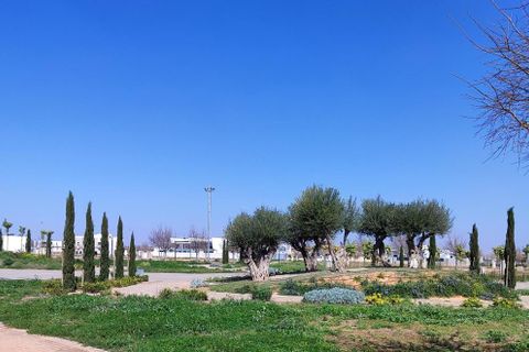 Lejlighed i Torre Pacheco, Murcia, Torre Pacheco - € 206.000 | Ref: 747916 - foto 10