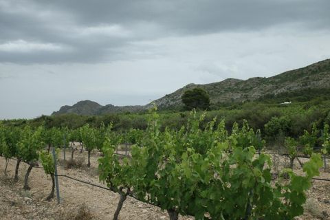 Villa i Yecla, Murcia, Yecla - € 800.000 | Ref: 747908 - foto 32