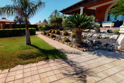 Villa i Elche, Alicante, Elche - € 1.375.000 | Ref: AG5BCD568 - foto 27