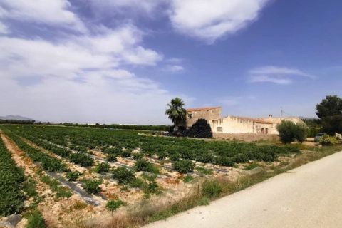 Helårsgrund i Albatera, Alicante, Albatera - € 180.000 | Ref: AG6137357 - foto 6