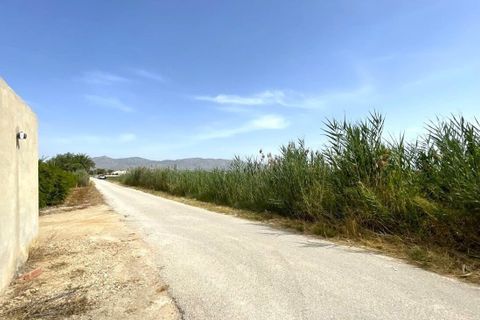 Helårsgrund i Albatera, Alicante, Albatera - € 180.000 | Ref: AG6137357 - foto 8