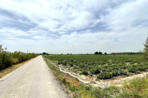 Helårsgrund i Albatera, Alicante, Albatera - € 180.000 | Ref: AG6137357 - foto 9