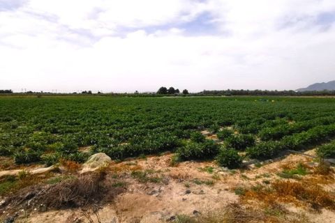 Helårsgrund i Albatera, Alicante, Albatera - € 180.000 | Ref: AG6137357 - foto 11