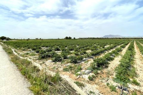 Helårsgrund i Albatera, Alicante, Albatera - € 180.000 | Ref: AG6137357 - foto 12