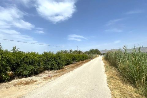 Helårsgrund i Albatera, Alicante, Albatera - € 180.000 | Ref: AG6137357 - foto 14