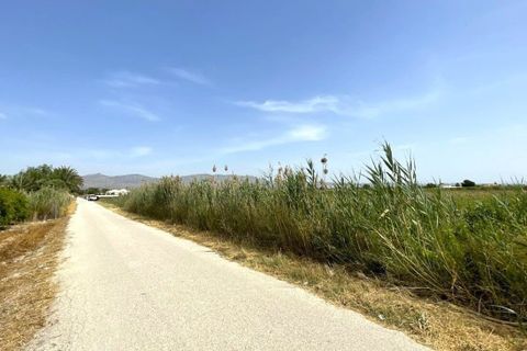 Helårsgrund i Albatera, Alicante, Albatera - € 180.000 | Ref: AG6137357 - foto 15