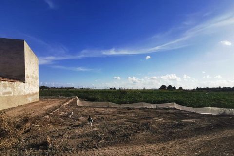 Helårsgrund i Albatera, Alicante, Albatera - € 180.000 | Ref: AG6137357 - foto 16