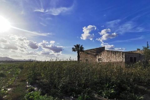 Helårsgrund i Albatera, Alicante, Albatera - € 180.000 | Ref: AG6137357 - foto 17