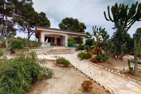 Villa i Murcia, Murcia, Murcia - € 520.000 | Ref: AG6137783 - foto 2