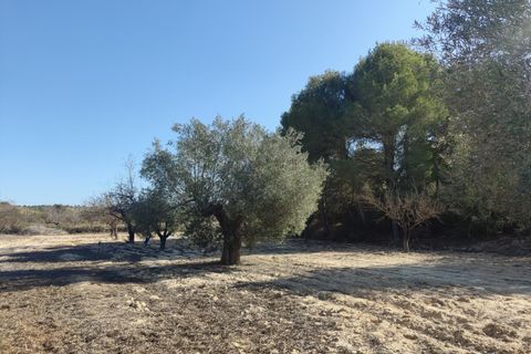 Finca i Torremendo, Alicante, Torremendo - € 699.000 | Ref: AG19138257 - foto 3