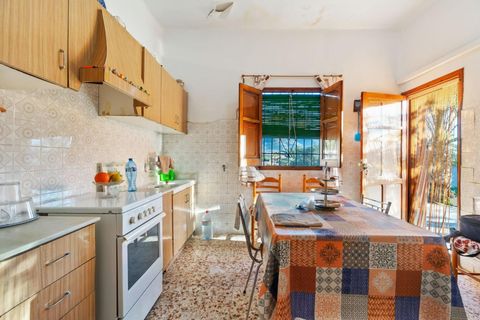 Finca i Orihuela, Alicante, Orihuela - € 250.000 | Ref: AG19MLSC3325890 - foto 9