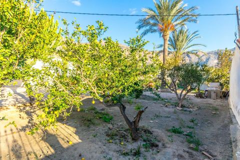 Finca i Orihuela, Alicante, Orihuela - € 250.000 | Ref: AG19MLSC3325890 - foto 23